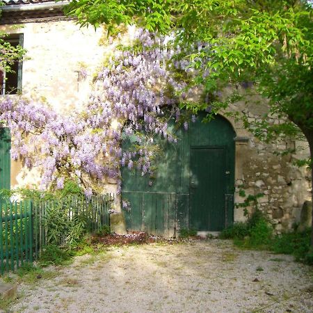 Maison Charmante Avec Terrasse Et Jardin A Noves Εξωτερικό φωτογραφία